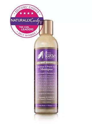 The Mane Choice Ancient Egyptian Anti-Breakage & Repair Antidote Shampoo & Conditioner